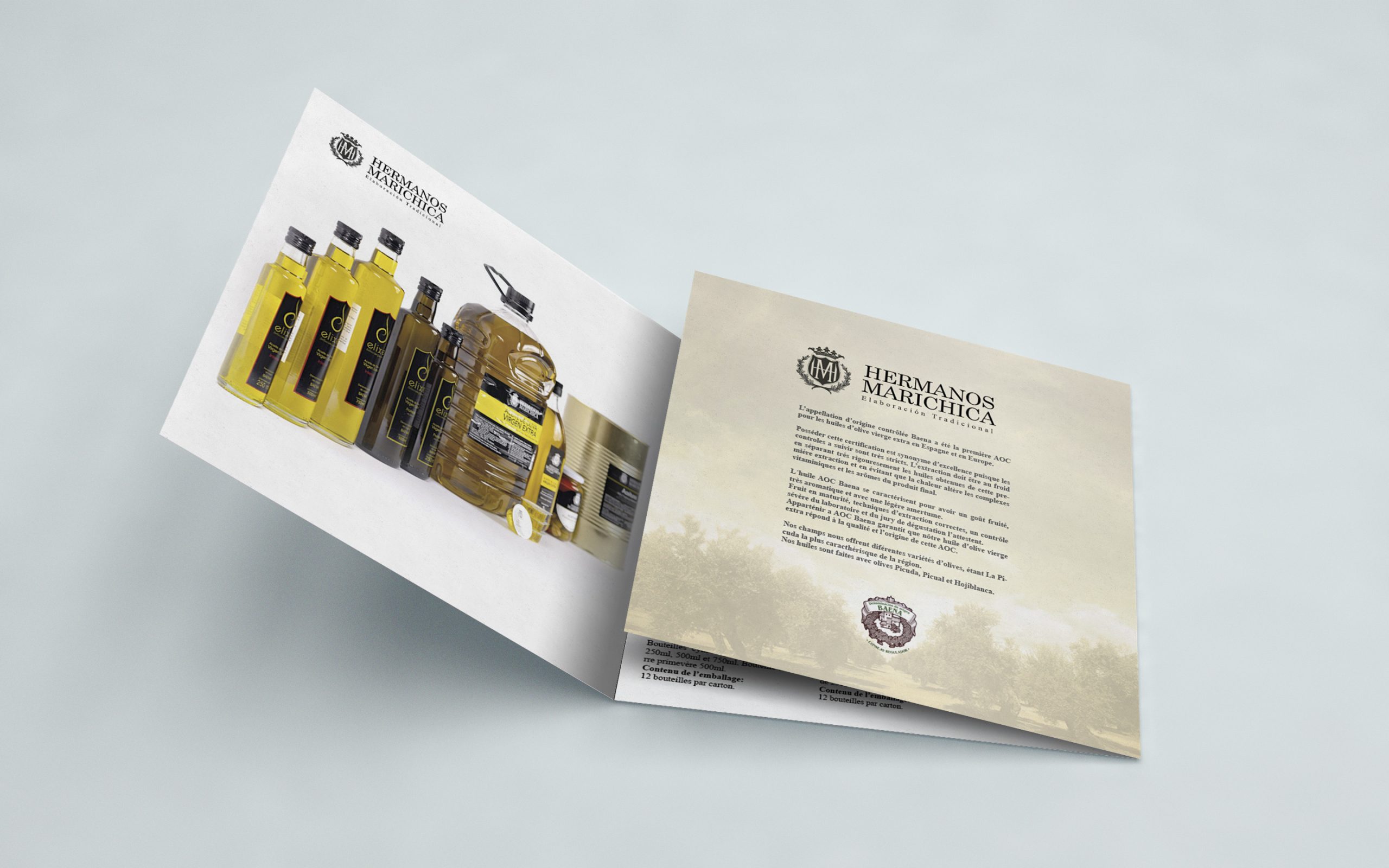 MockUp-TriFold-Square1 copia